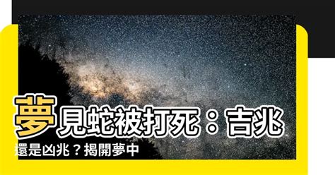 夢到蛇被打死|夢見蛇被打死